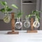 Creative Glass Bulb Vase With Wooden Stand Hydroponic Plant Container For Home Tabletop Decor 0
