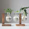 Creative Glass Bulb Vase With Wooden Stand Hydroponic Plant Container For Home Tabletop Decor 2