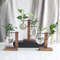 Creative Glass Bulb Vase With Wooden Stand Hydroponic Plant Container For Home Tabletop Decor 3