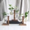 Creative Glass Bulb Vase With Wooden Stand Hydroponic Plant Container For Home Tabletop Decor 3
