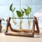 Wooden Frame Hydroponic Glass Vase Tabletop Terrarium Planter For Home Decoration 1