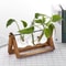 Wooden Frame Hydroponic Glass Vase Tabletop Terrarium Planter For Home Decoration 2