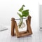 Wooden Frame Hydroponic Glass Vase Tabletop Terrarium Planter For Home Decoration 3