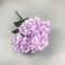 Elegant 5Head Silk Hydrangea Bouquet Realistic Artificial Flowers For Home Wedding Party Decor 12