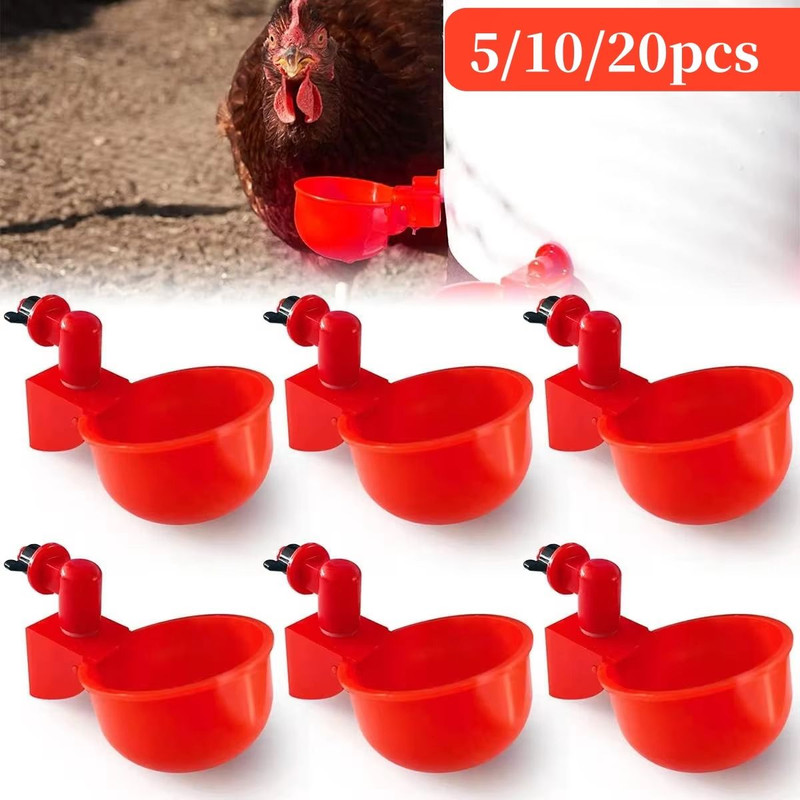 Automatic Poultry Drinking Cups 51020 Pcs Chicken Waterer Bowls For Hens Ducks And Small Birds 0