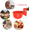 Automatic Poultry Drinking Cups 51020 Pcs Chicken Waterer Bowls For Hens Ducks And Small Birds 5