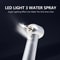 HighSpeed Dental Handpiece With LED Light Standard Head Air Turbine Handpiece With Water Spray For 1