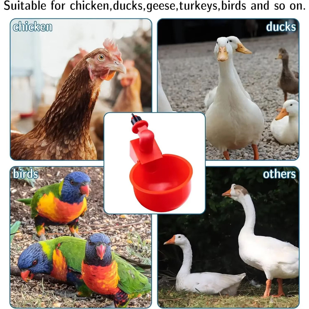 Automatic Poultry Drinking Cups Easy Install Chicken Duck Water Dispenser System 3