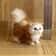Realistic Simulation Cat Plush Toy Soft Stuffed Kitten For Kids And Cat Lovers 9