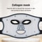 LumiSkin 3Wave LED Facial Therapy Mask 2