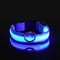 Nylon LED Glow Dog Leash Collar Set Night Safety Reflective LightUp Pet Gear For Walks After Dark 9