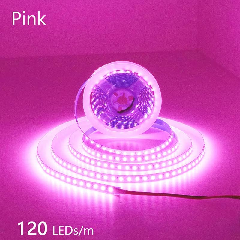 LumiFlex 2835 LED Strip Light 5M Flexible Waterproof Light Strip DC12V24V 3001200 LEDs Cuttable Ho 22