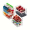 Transparent Refrigerator Organizer Box Durable EasytoClean Food Storage Container For Fruits Veget 4