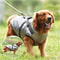 Winter Warm Dog Jacket With BuiltIn Harness Waterproof Outdoor Coat For Large And Small Breeds 2