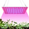 LED Full Spectrum Plant Grow Light 1000W2000W For Indoor Hydroponics 1