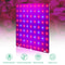 LED Full Spectrum Plant Grow Light 1000W2000W For Indoor Hydroponics 2