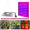 LED Full Spectrum Plant Grow Light 1000W2000W For Indoor Hydroponics 5
