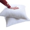 Premium BounceBack Pillow Insert White Square Cushion Core For Sofa Car Seat Home Decor Sizes 30x 4