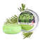 Purify  Balance TeaTree Oil Plant Shampoo  Refreshing Scalp  Stronger Hair 5