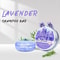 Lavender Oil Control Shampoo SiliconeFree Refreshing Cleanse For Oily Scalps 5