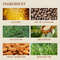 Jamaican Black Castor Oil Hair Repair Essence  Nourishing Growth Oil For Dry Damaged Hair 2