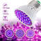 GreenGrowth FullSpectrum E27 LED Grow Bulb  6080 LEDs 220 V For Indoor Plants 0