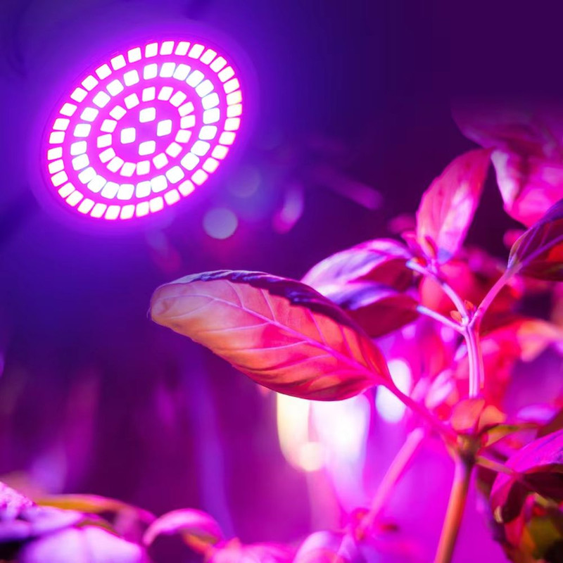 GreenGrowth FullSpectrum E27 LED Grow Bulb  6080 LEDs 220 V For Indoor Plants 2