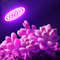 GreenGrowth FullSpectrum E27 LED Grow Bulb  6080 LEDs 220 V For Indoor Plants 3