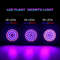GreenGrowth FullSpectrum E27 LED Grow Bulb  6080 LEDs 220 V For Indoor Plants 4