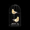 Birdcage Decorative Table Lamp  Cordless Accent Light With Warm White Fairy Lights For Home  Event  5