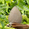 Ultimate Clean Mini Konjac Cleansing Sponge Round Natural Exfoliator Puff For Facial Skin Care 1