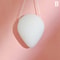 Ultimate Clean Mini Konjac Cleansing Sponge Round Natural Exfoliator Puff For Facial Skin Care 7