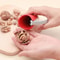 Zinc Alloy Nutcracker Quick Sheller Tool For Walnuts And Hazelnuts 5