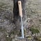 Stainless Steel Weeding Tool Precision Digger For Herbs Bonsai Soil Loosening 2