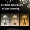 LuminaCharge LED TouchDimming USB Table Lamp European Style 4