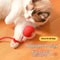 WhiskerSpin Smart Rolling Toy Ball USB Rechargeable Auto Teaser For Cats Pets 0