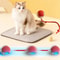 WhiskerSpin Smart Rolling Toy Ball USB Rechargeable Auto Teaser For Cats Pets 2