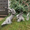 SolarPowered Resin Dragon Garden Statue Mystical Dragon Sculpture With Solar LED Lighting For Outd 10