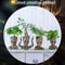 Groot Planter Flower Pot Set TreeMan Character Indoor Planter Home Office Decor Gift 5