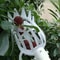 SkyHarvest HighBranch Fruit Picker Tool Extendable Garden Picking Device For Bayberry Loquat Plum 5