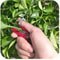 Multifunction Thumb Knife Garden Pruner Safe Fruit Picking Blade With Finger Protector 6