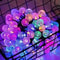 USBBattery Crystal Globe String Lights Decorative Outdoor Waterproof Fairy Lighting 102040 LED 7