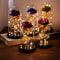 Everlasting 24K Gold Foil Rose In Glass Illuminated Decorative Gift For Home Mothers Day Special