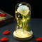 Everlasting 24K Gold Foil Rose In Glass Illuminated Decorative Gift For Home Mothers Day Special 6