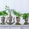Mini Cartoon Groot Figurine 5 Cm TreeMan Desk Ornament For Home Office Decor 3
