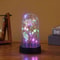 LED Galaxy Rose In Glass Dome Illuminated Eternal Flower Gift 1
