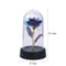 LED Galaxy Rose In Glass Dome Illuminated Eternal Flower Gift 3