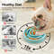Eco Dog Slow Feeder Bowl NonSlip Puzzle AntiGulp Dish For Large Medium Small Dogs 1