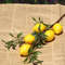 Sunny Luxe Artificial Lemon Branch With Green Leaves Realistic Home Decor Stem 5