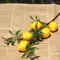 Sunny Luxe Artificial Lemon Branch With Green Leaves Realistic Home Decor Stem 5